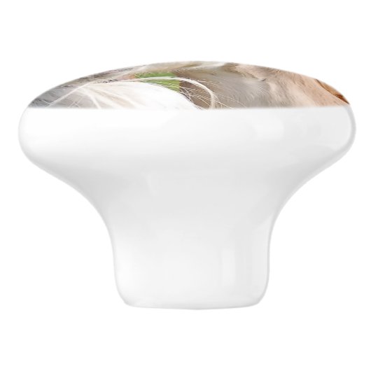 Haflingerの馬のオンかわいいベビーの子馬の動物の写真 セラミックノブ (側面)