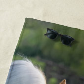 Haflingerの馬のミイラの写真を持つかわいいベビーの子馬: ビーチタオル (インサイチュ)