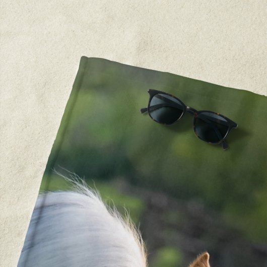 Haflingerの馬のミイラの写真を持つかわいいベビーの子馬: ビーチタオル (インサイチュ)