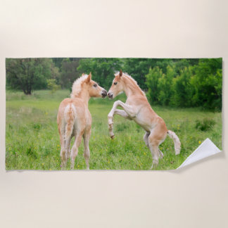 Haflingerの馬の写真を育てているかわいい子馬の友人 ビーチタオル