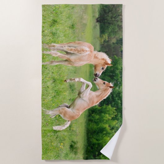 Haflingerの馬の写真を育てているかわいい子馬の友人 ビーチタオル (正面)