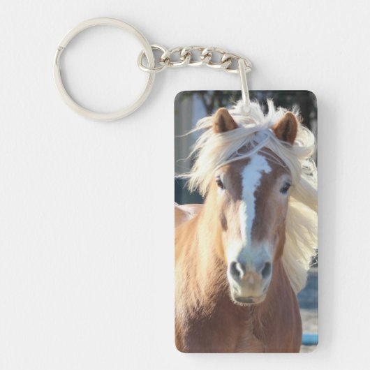 Haflingerの馬 キーホルダー (正面)