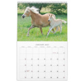 Haflingerは2017年産みます カレンダー (1月 2027)