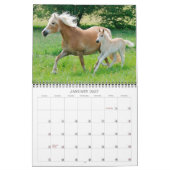 Haflinger Foals – サイズ(中) カレンダー (1月 2027)
