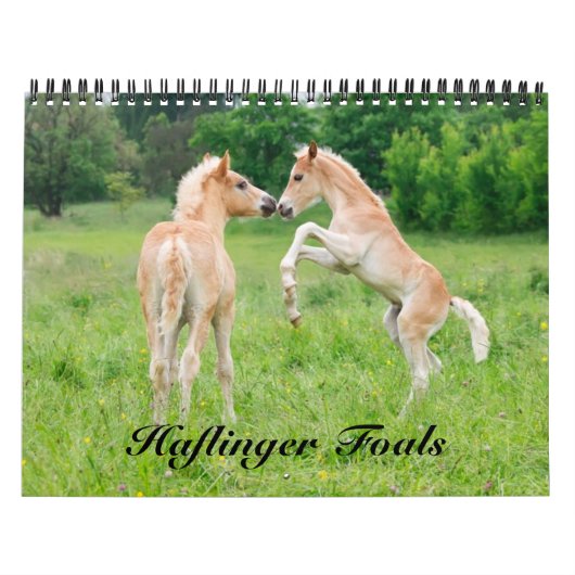 Haflinger Foals – サイズ(中) カレンダー (カバー)