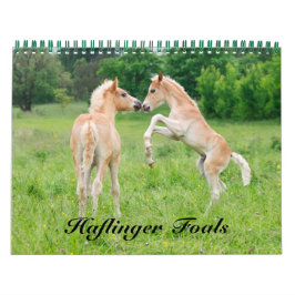 Haflinger Foals – サイズ（中） カレンダー