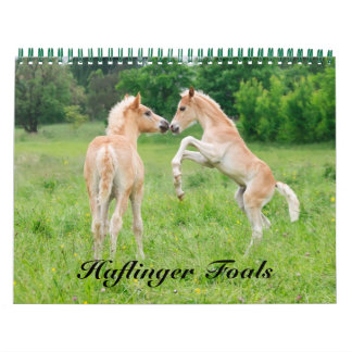 Haflinger Foals – サイズ(中) カレンダー