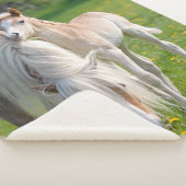 Haflinger HorsesかわいいベビーフォールとMum写真、 シェルパブランケット (3/4)