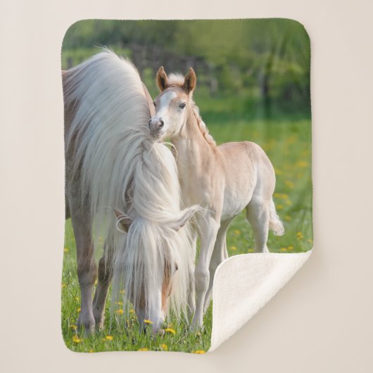 Haflinger HorsesかわいいベビーフォールとMum写真、 シェルパブランケット (正面)