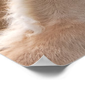 Haflinger Horses FoalとMare cudling、写真 ポスター (角)