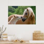 Haflinger Horses FoalとMare cudling、写真 ポスター (キッチン)
