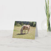 Haflinger Palomino Pony in Summer Pasture写真 カード (正面)