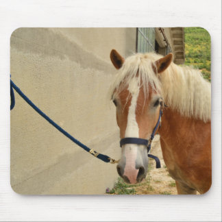 Haflinger-Pferd マウスパッド