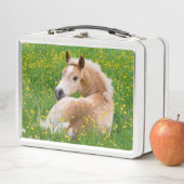 Haflinger Pony Horseかわいいフォールで花壇の写真 メタルランチボックス (インサイチュ)