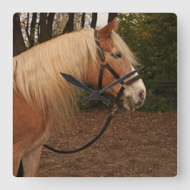 Haflinger Wallach Mifisto - Wanduhr スクエア壁時計