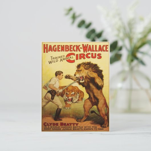 Hagenbeckのサーカスのヴィンテージの郵便はがき ポストカード (スタンド正面)