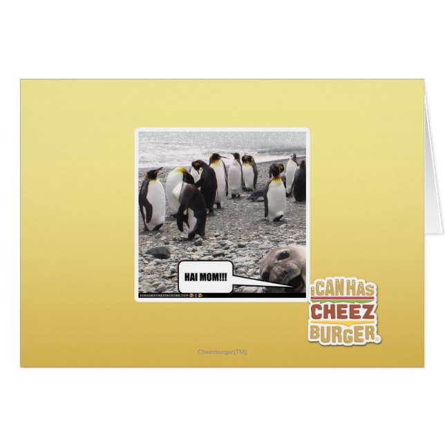 HAIのお母さん!!! (正面横)