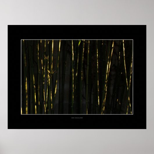 HAIKU Bamboo trees Poster ポスター (正面)