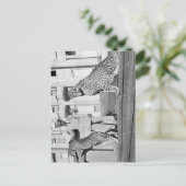 Haille Selassie - HIM - Rastafari – ポストカード (スタンド正面)