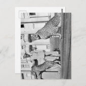 Haille Selassie - HIM - Rastafari – ポストカード (正面/裏面)