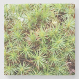 Haircap Moss Stone Coaster ストーンコースター