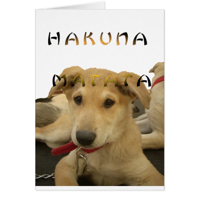 Hakuna Matata君のチンポ考えるーは分かる (正面)