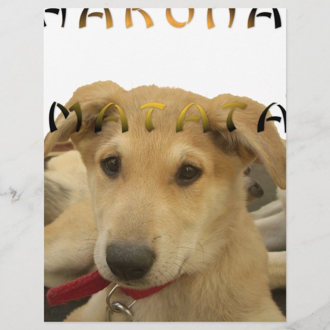 Hakuna Matata君のチンポ考えるーは分かる (正面)