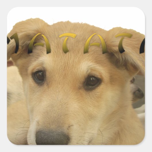 Hakuna Matata君のチンポ考えるーは分かる スクエアシール (正面)