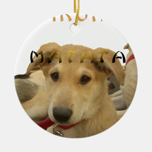 Hakuna Matata君のチンポ考えるーは分かる セラミックオーナメント (正面)