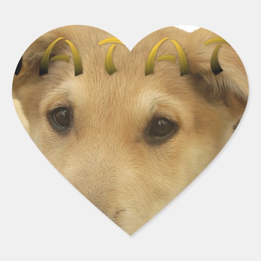 Hakuna Matata君のチンポ考えるーは分かる ハートシール (正面)