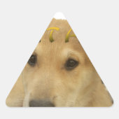 Hakuna Matata君のチンポ考えるーは分かる 三角形シール (正面)