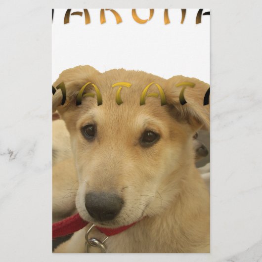 Hakuna Matata君のチンポ考えるーは分かる 便箋 (正面)