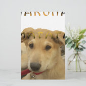 Hakuna Matata君のチンポ考えるーは分かる 便箋 (スタンド正面)