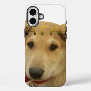 Hakuna Matata君のチンポ考えるーは分かる iPhone 16 Plusケース