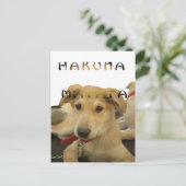 Hakuna Matata君の写真は考える分かる ポストカード (スタンド正面)