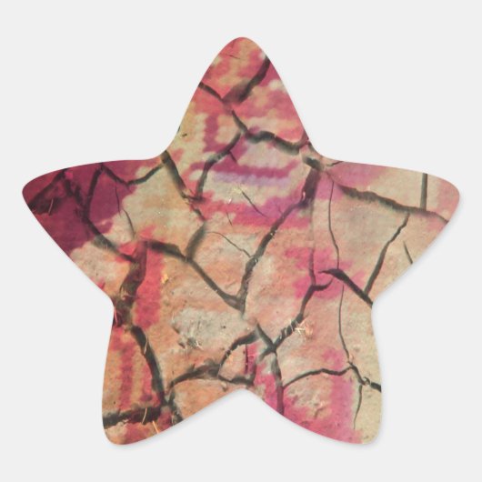 Hakuna Matata.JPG 星シール (正面)