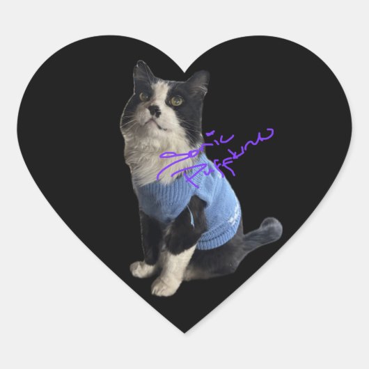 Hakuzi Heart Stickers ハートシール (正面)