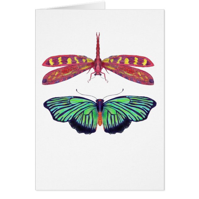 Halおよび赤 (正面)