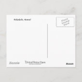 Haleakala、ハワイ ポストカード (裏面)