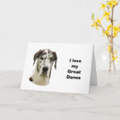 Halequin Great Daneポートレート写真 カード (黄色い花)