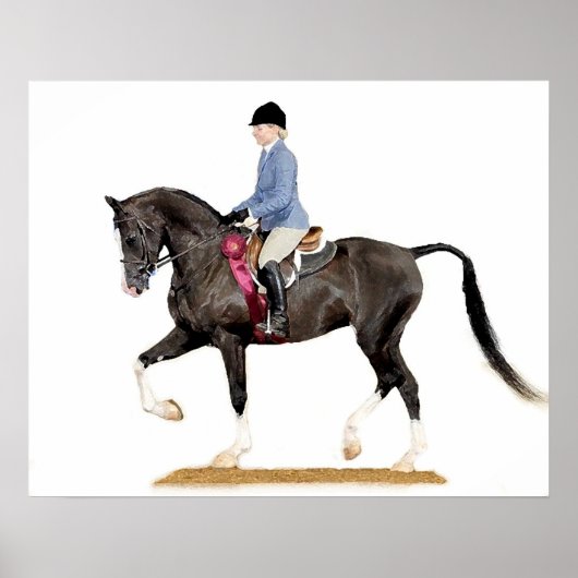 Half Arabian Hunter Pleasure Horse Poster Print ポスター (正面)
