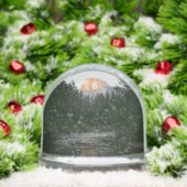 Half Dome Sunset in Yosemite National Park (クリスマス)