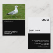 Half&Half写真0156 – 公園のカモメ歩く 名刺 (正面/裏面)