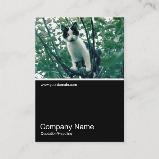 Half&Half写真0249 – いたずらの過多 名刺 (正面)