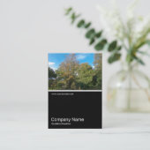 Half&Half写真0270 – 公園の秋 名刺 (スタンド正面)