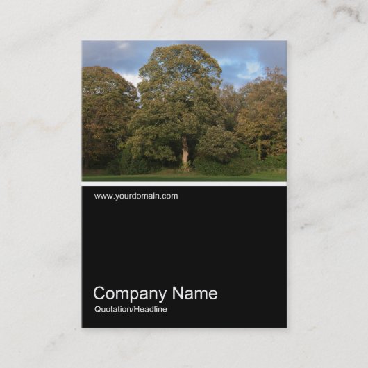 Half&Half写真0276 – 公園の秋 名刺 (正面)