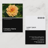 Half&Half写真0281 - Dahlia 'David Howard' 名刺 (正面/裏面)