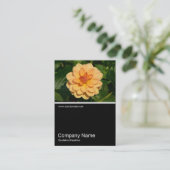 Half&Half写真0281 - Dahlia 'David Howard' 名刺 (スタンド正面)