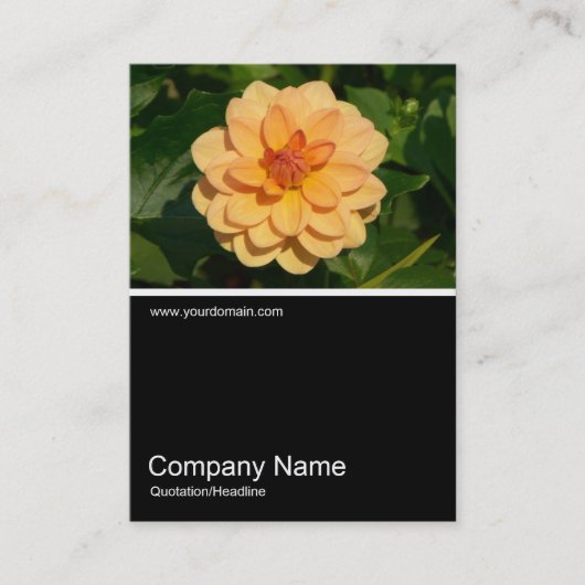 Half&Half写真0281 - Dahlia 'David Howard' 名刺 (正面)