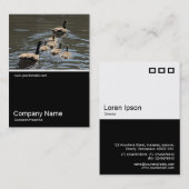 Half&Half写真0326 - Canada Geese with Goslings 名刺 (正面/裏面)